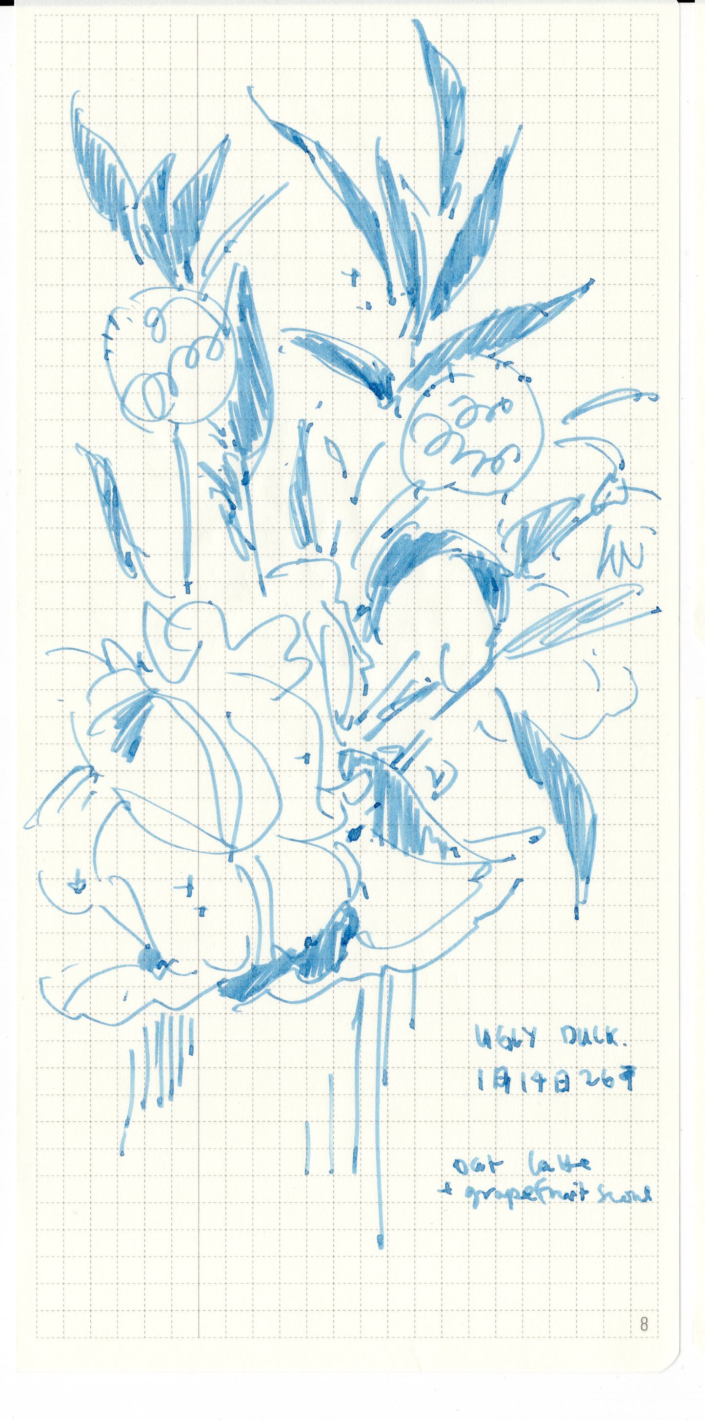 The Flowers 21 - 30
