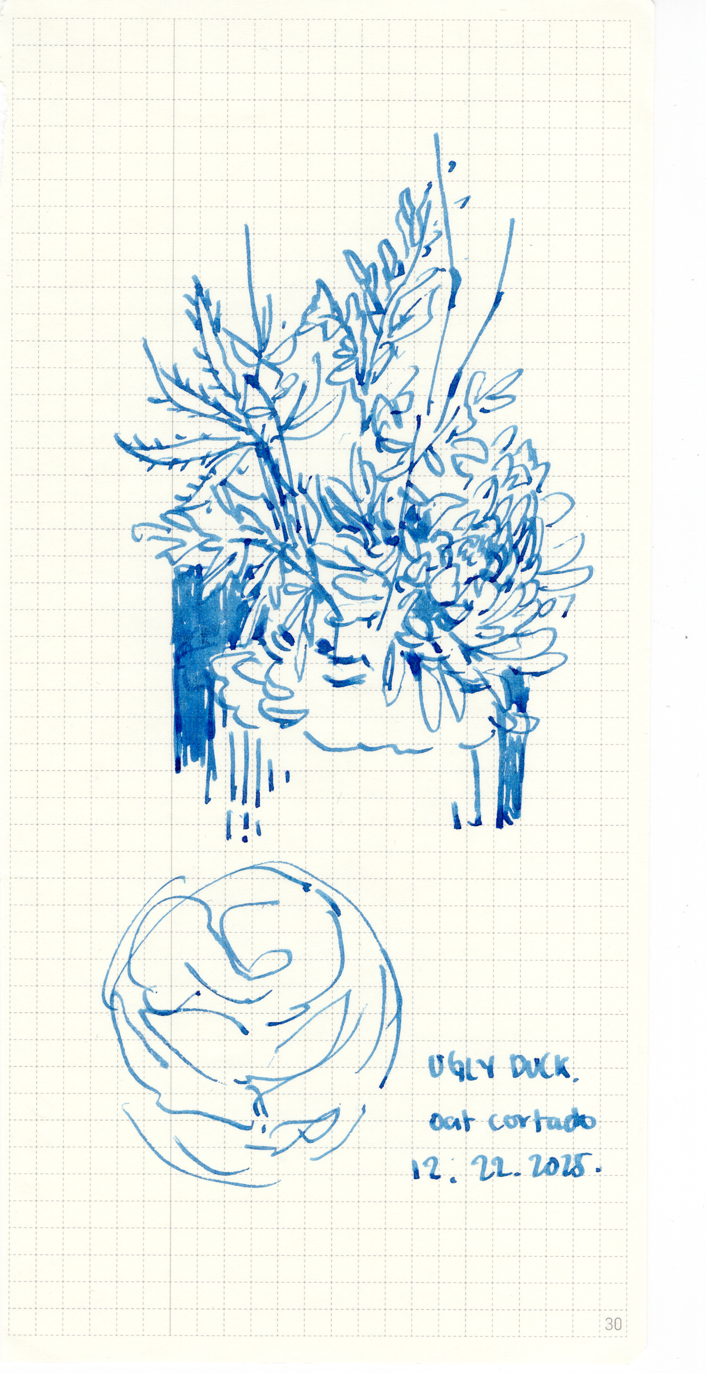 The Flowers 21 - 30