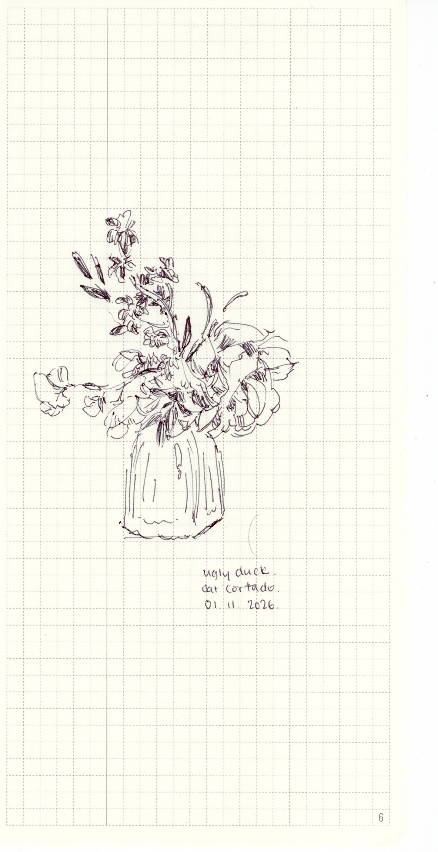 The Flowers 21 - 30
