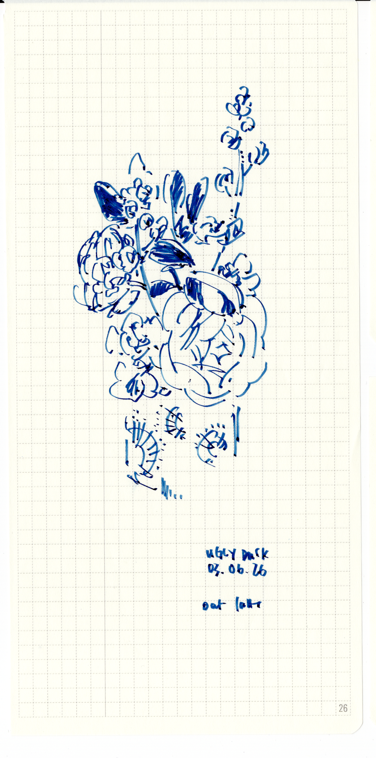 The Flowers 31 - 40