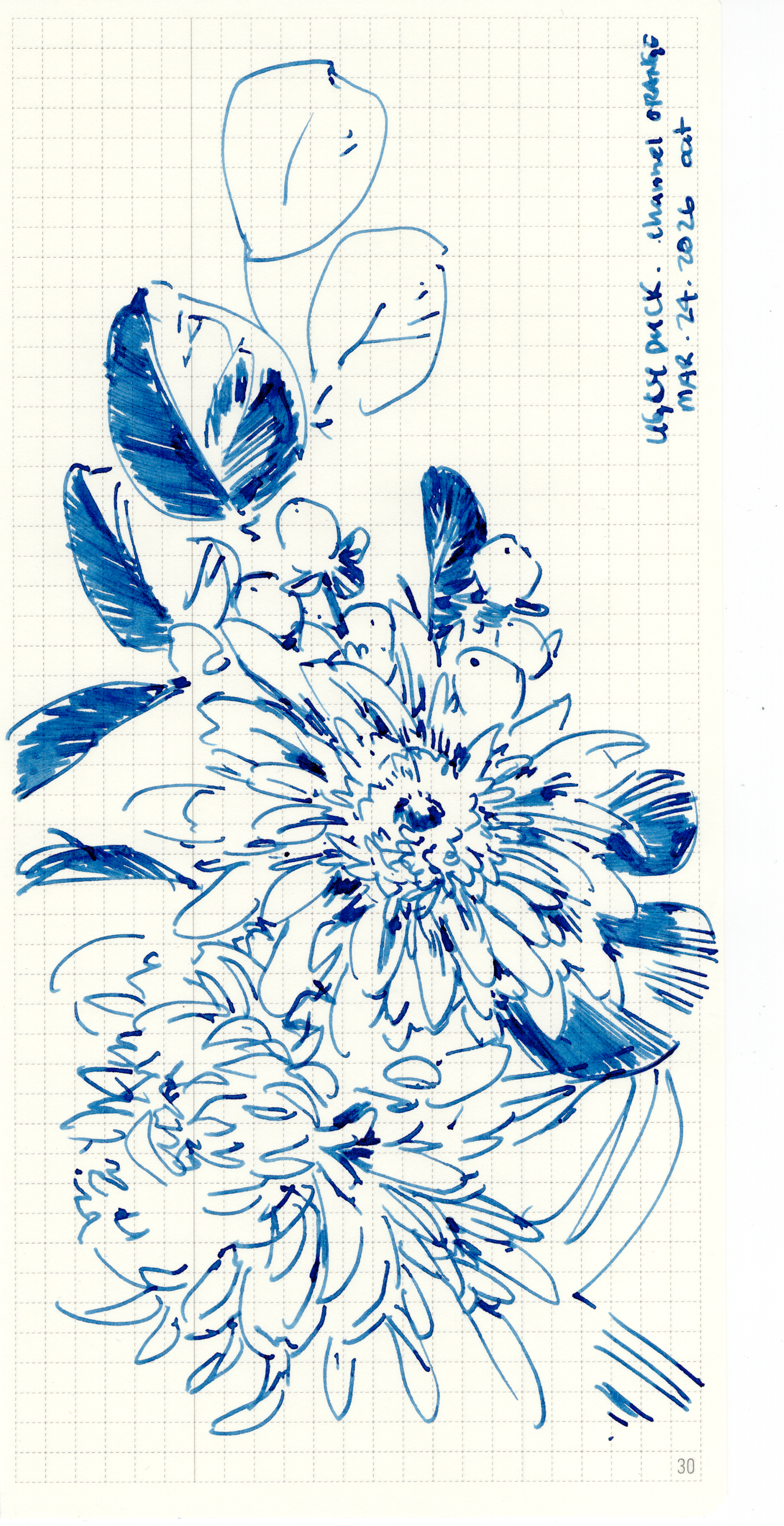 The Flowers 41 - 45