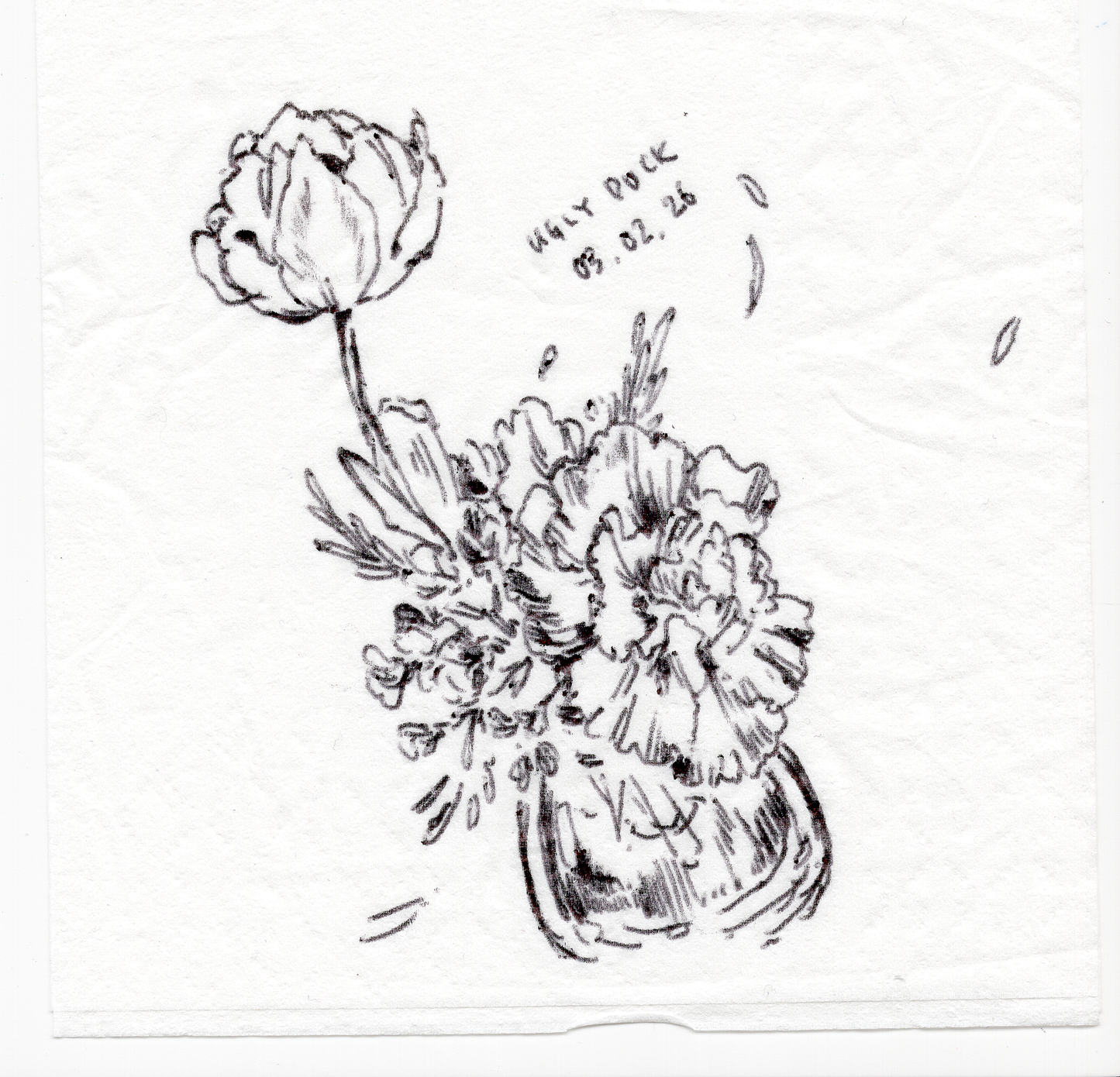 The Flowers 41 - 45