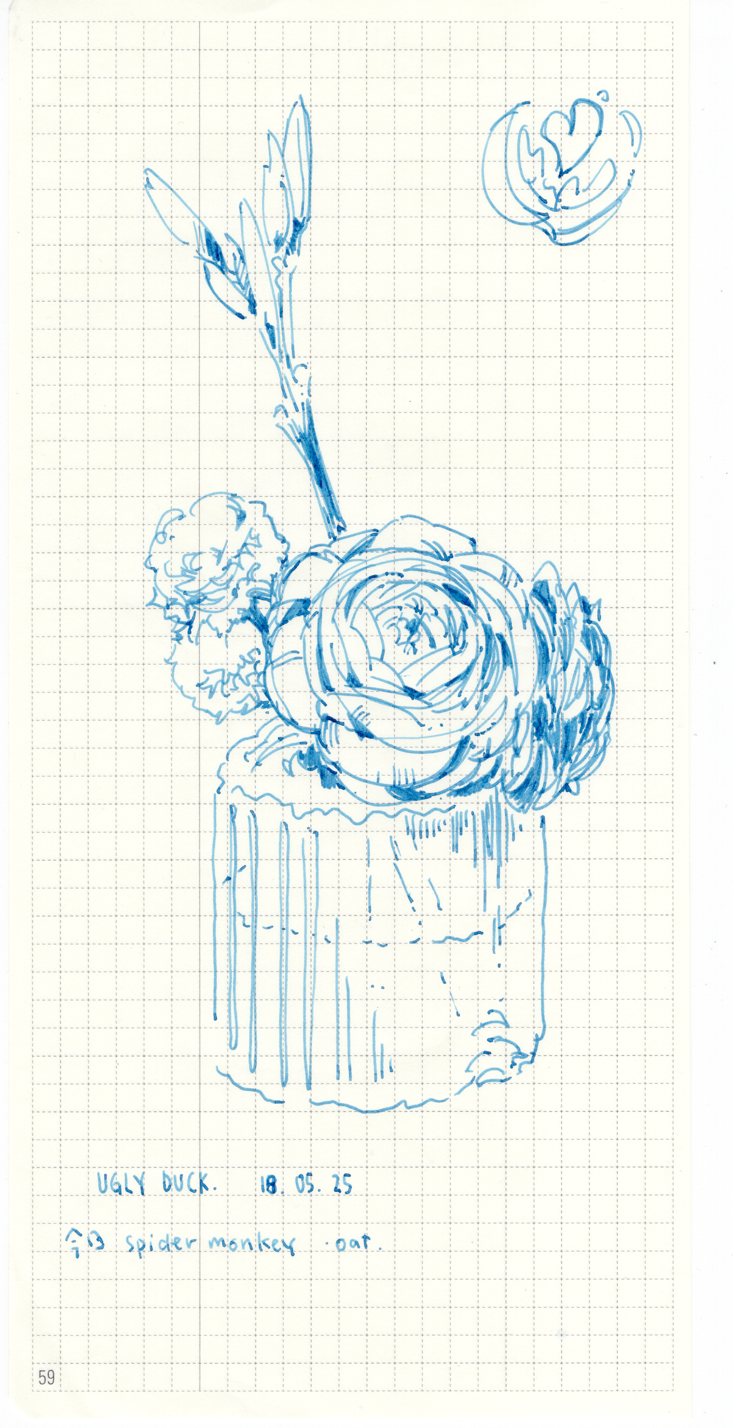 The Flowers 1 - 10