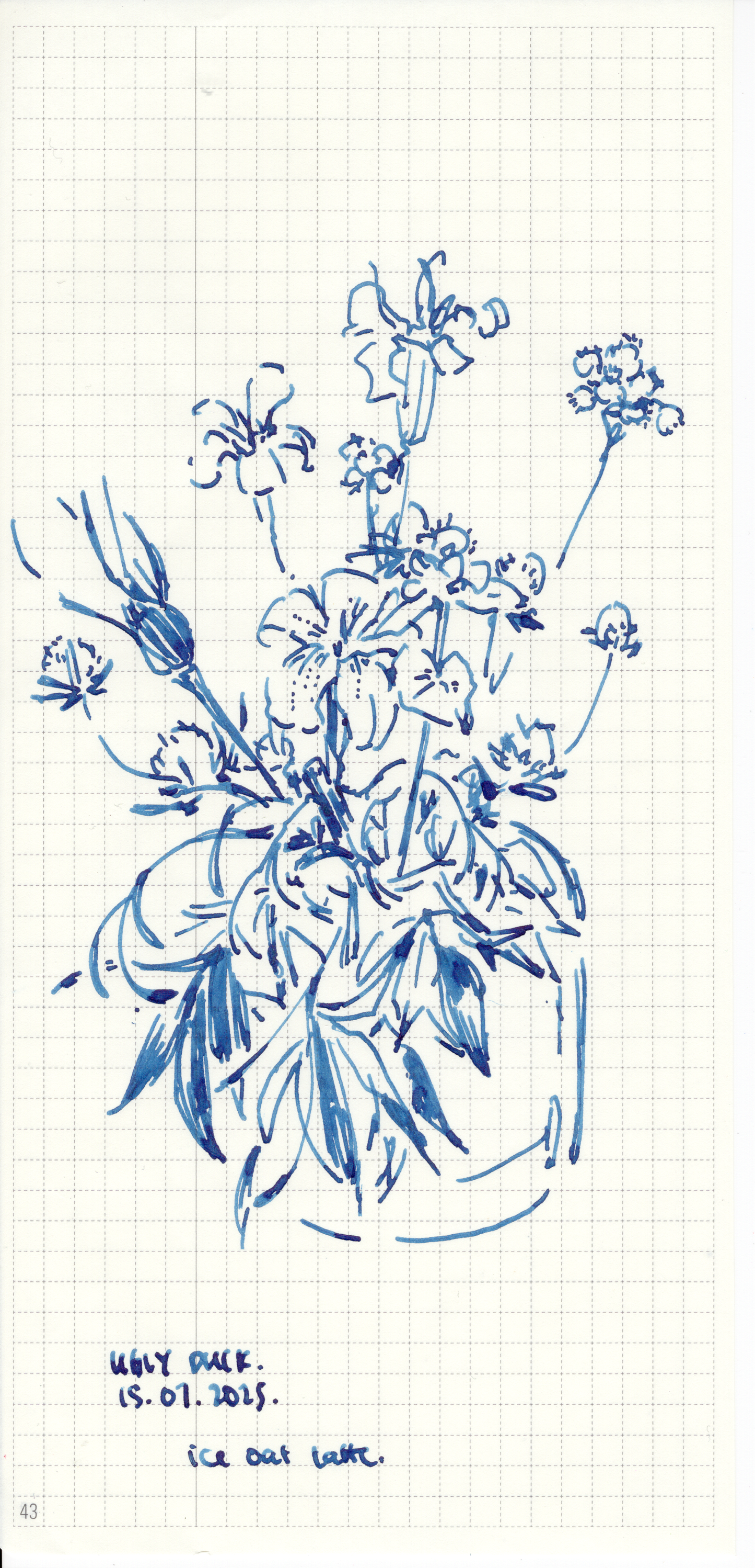 The Flowers 1 - 10