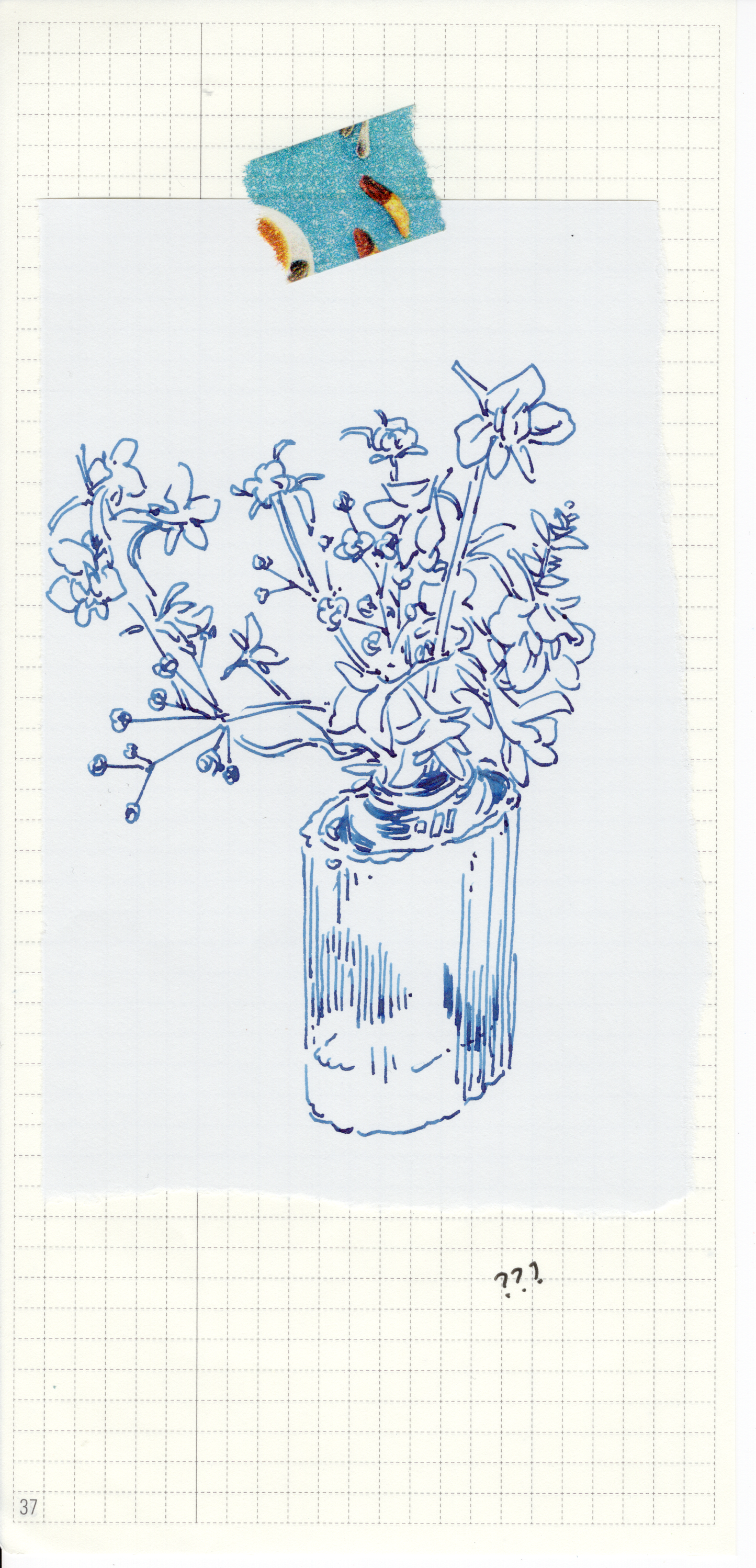 The Flowers 1 - 10